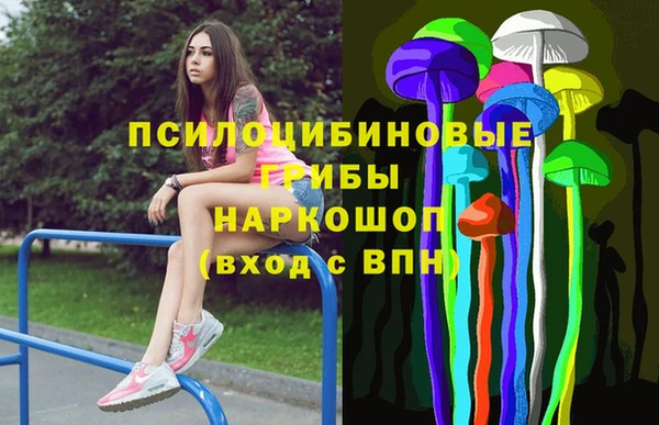 PSILOCYBIN Дмитров