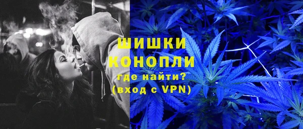 ГАЛЛЮЦИНОГЕННЫЕ ГРИБЫ Чердынь