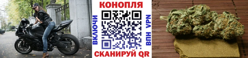 Марихуана OG Kush купить закладку Данков
